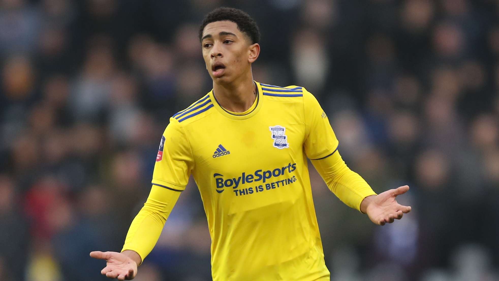 也是球迷们 也是球迷们