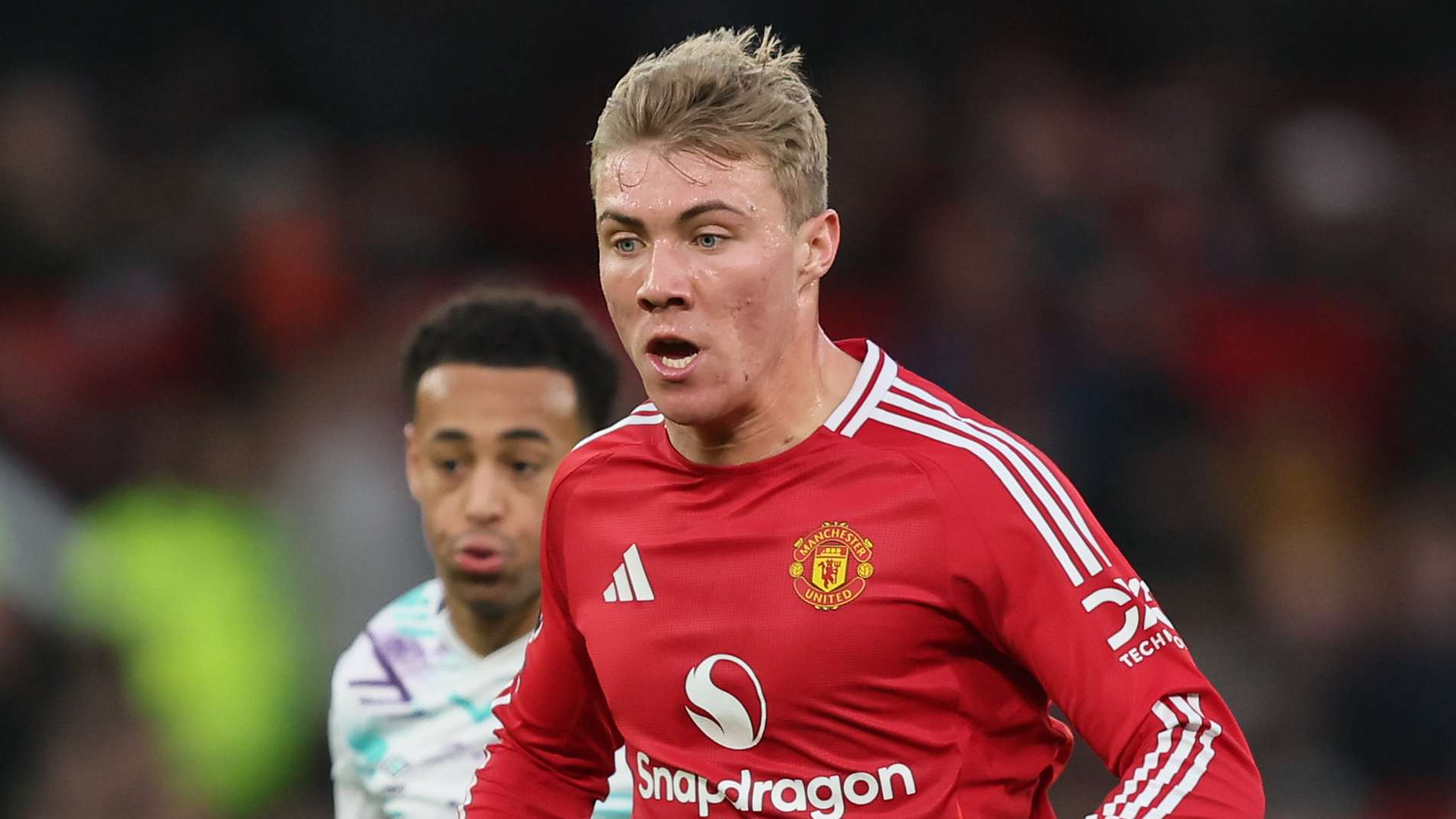 面的细致分 面的细致分