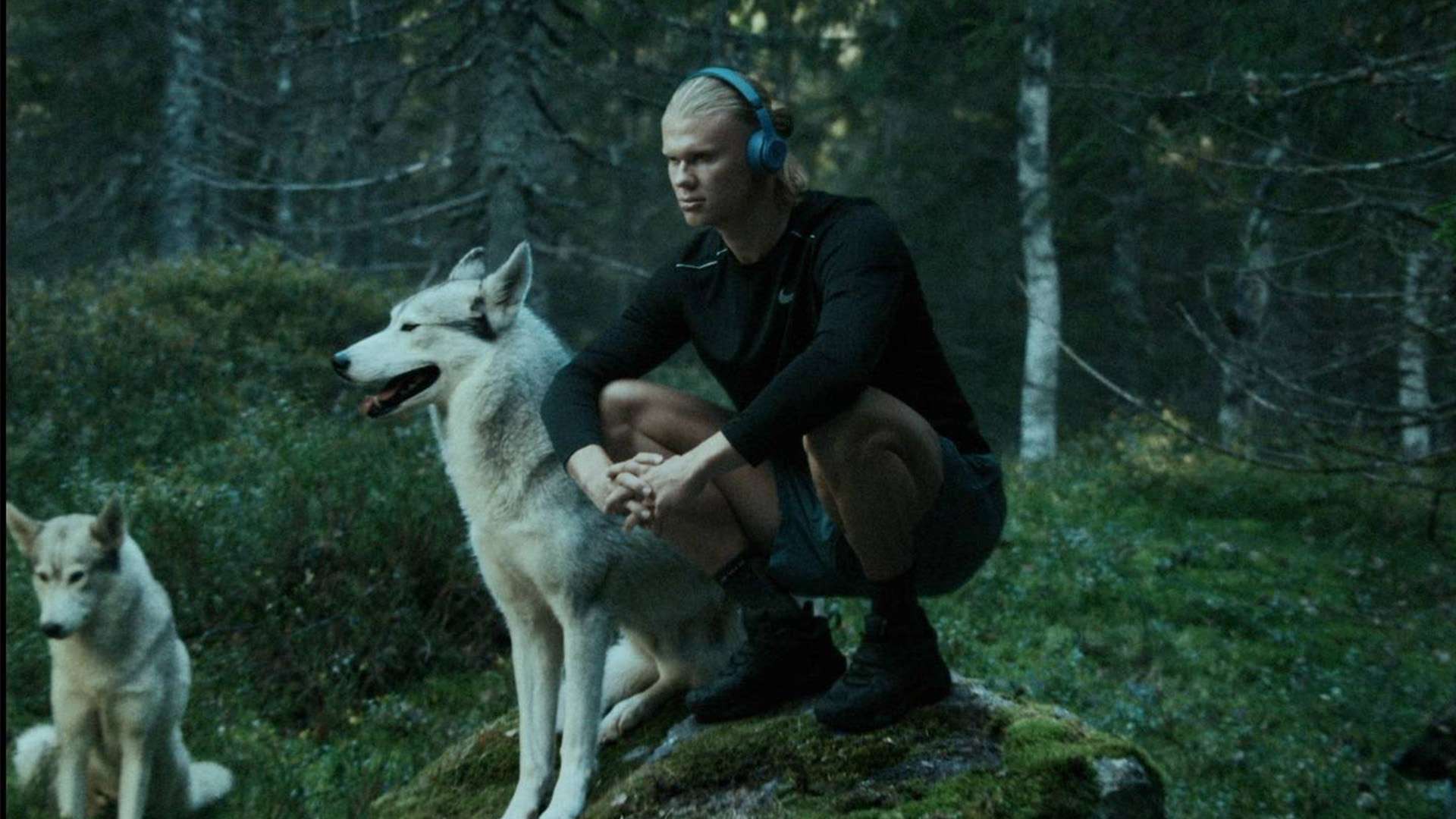 足球国家的 足球国家的