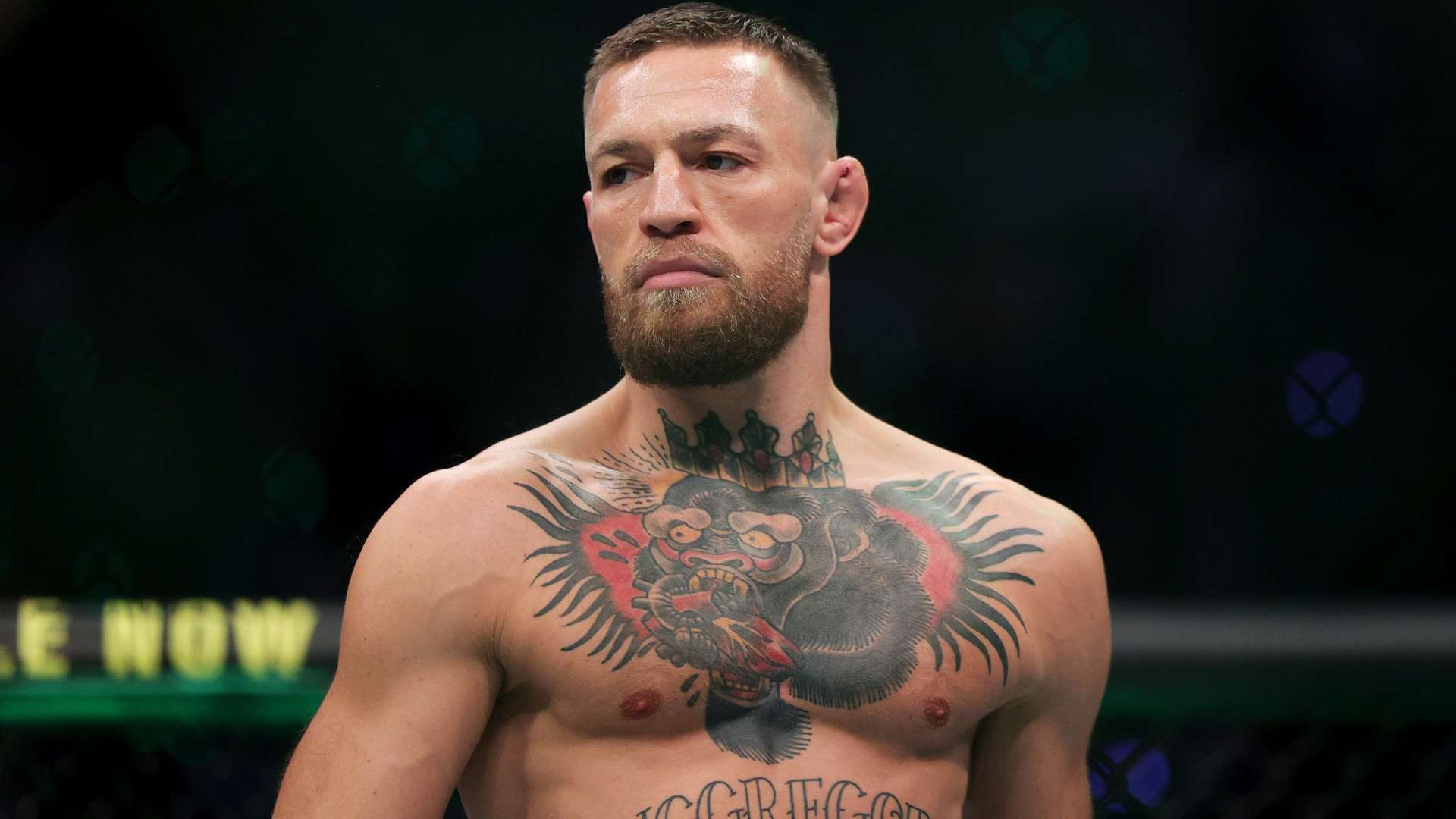 对凯恩的追 对凯恩的追